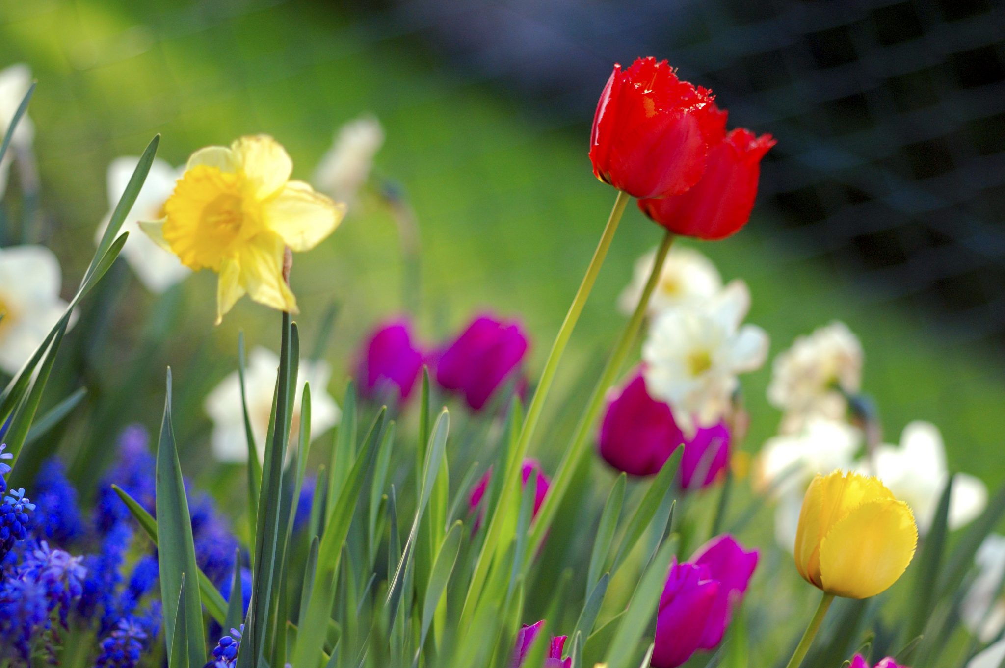 Have a wonderful Spring Break! Burnaby Mountain Secondary School